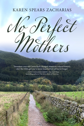 Image of "No Perfect Mothers" book cover