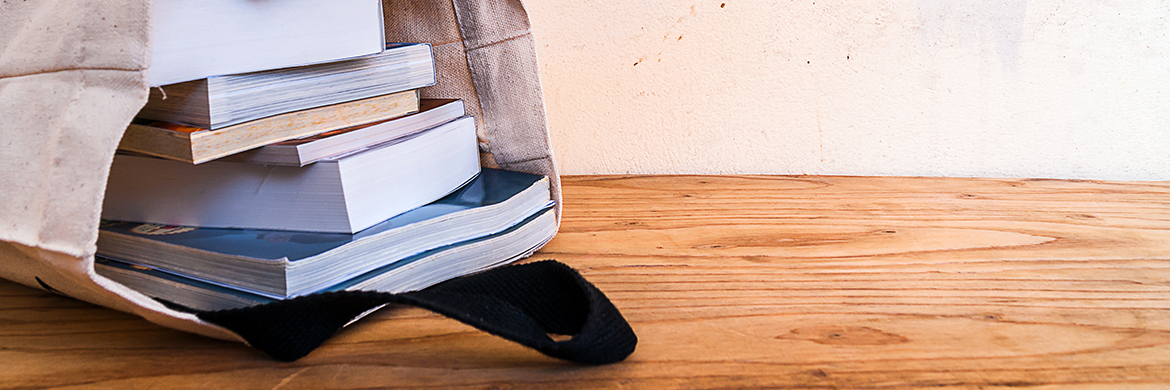 Books in canvas bag