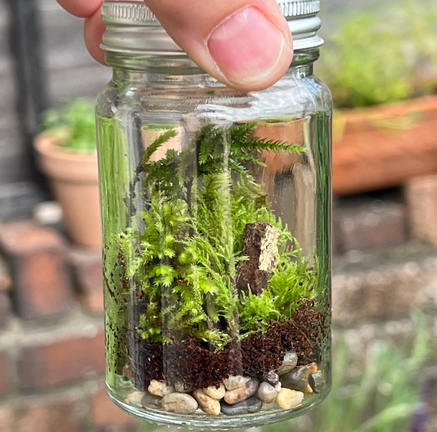 moss terrarium in a jar