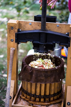 apple cider press