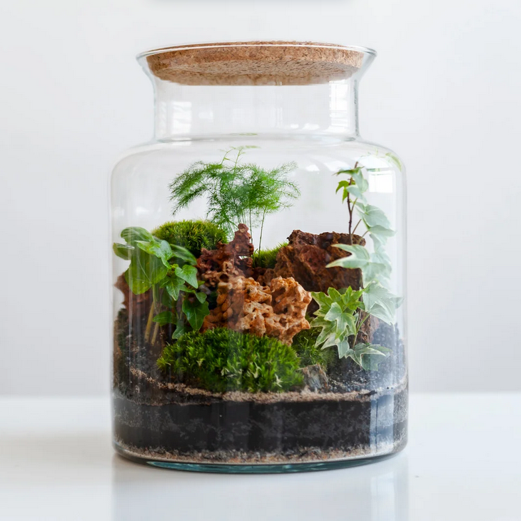 terrarium jar