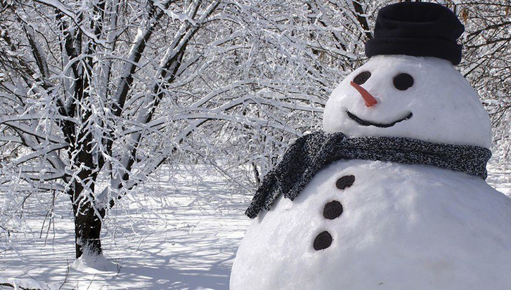 a snowman on a snowy day